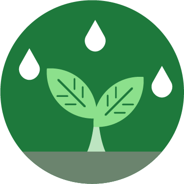 Roadmap Icon